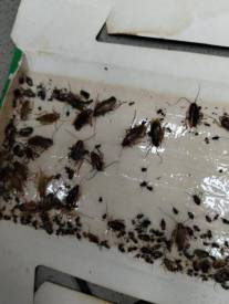 Fotografie z galerie