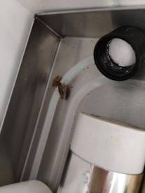 Fotografie z galerie