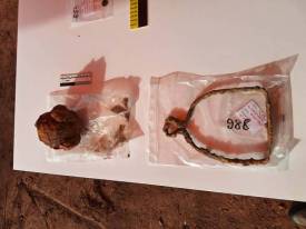 Fotografie z galerie