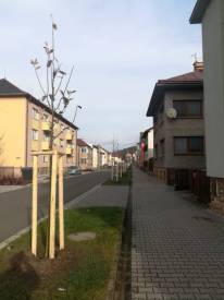 Fotografie z galerie