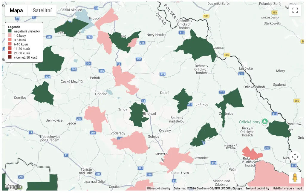 Výstraha pro pejskaře: Myslivci v okolí Slavoňova potvrdili výskyt pseudovztekliny u divočáků