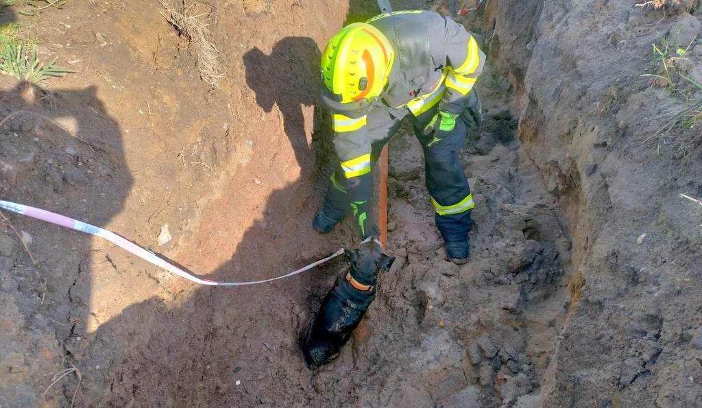 Hasiči v Kostelci nad Orlicí zachraňovali psa z dvoumetrového výkopu. V posledních měsících jde už o třetí případ