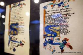 Fotografie z galerie