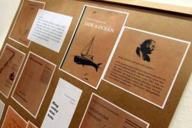 Fotografie z galerie