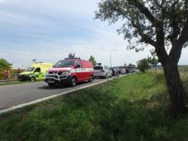 Fotografie z galerie