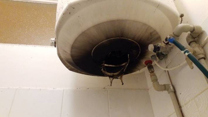 Pes vzbudil majitele bytu a zachránil ho před požárem