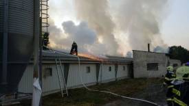 Fotografie z galerie