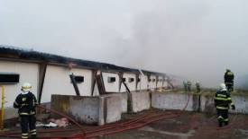 Fotografie z galerie