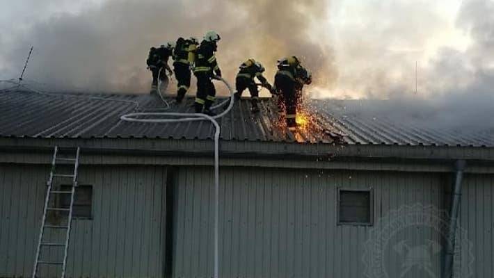 Hala plná kuřat a hořící střecha. Hasiči po jejím zřícení ručně přenášeli drůbež do jiné haly
