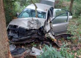 Fotografie z galerie