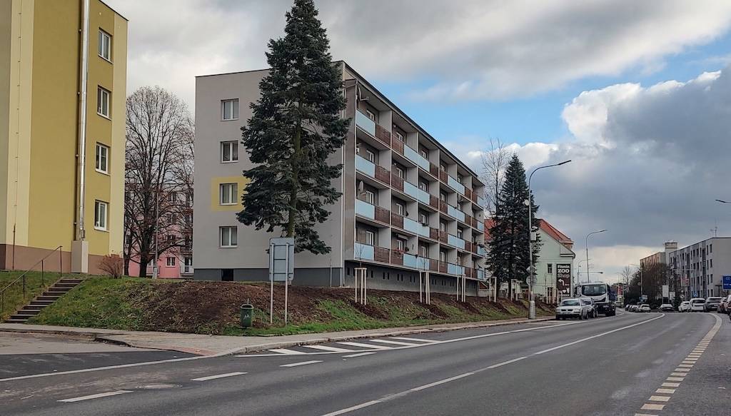 Prvních 10 sakur je v zemi, Kostelec čeká dalších 60 stromů a 500 keřů