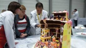 Fotografie z galerie