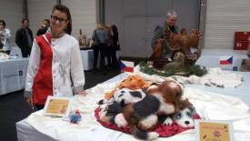 Fotografie z galerie