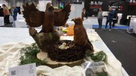 Fotografie z galerie