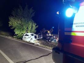 Fotografie z galerie