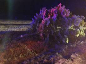 Fotografie z galerie