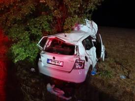 Fotografie z galerie