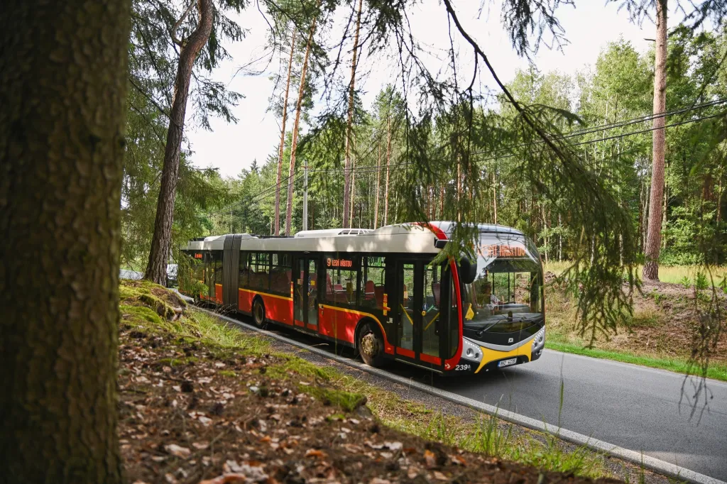 Konec parkovacího pekla u lesa. Hradec o víkendech posílá k Lesnímu hřbitovu autobus každou půlhodinu