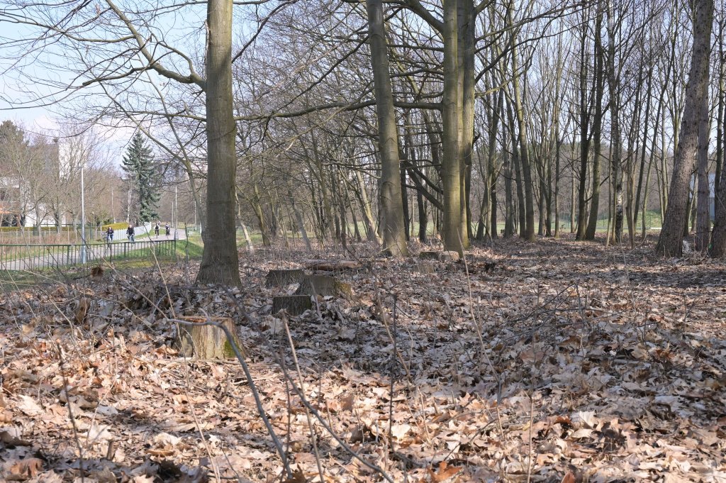 Lesopark na Moravském Předměstí nabízí více prostoru pro odpočinek a nově i posezení