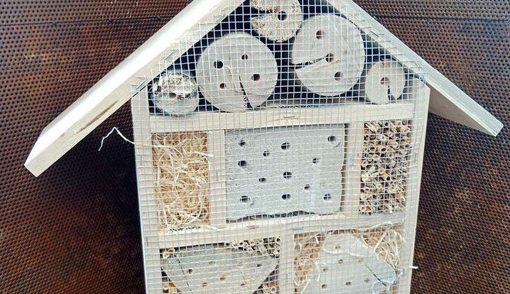 Dobrovolníci vyrobí 40 hmyzích domků pro mateřské školy