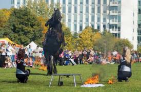 Fotografie z galerie