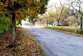 Fotografie z galerie