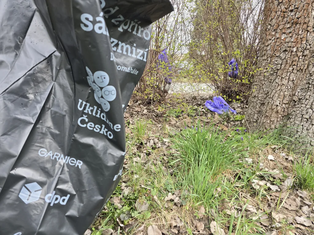 Dobrovolníci v Rychnově nad Kněžnou se zapojili do akce Ukliďme Česko, z ulic a přírody zmizely desítky pytlů odpadu